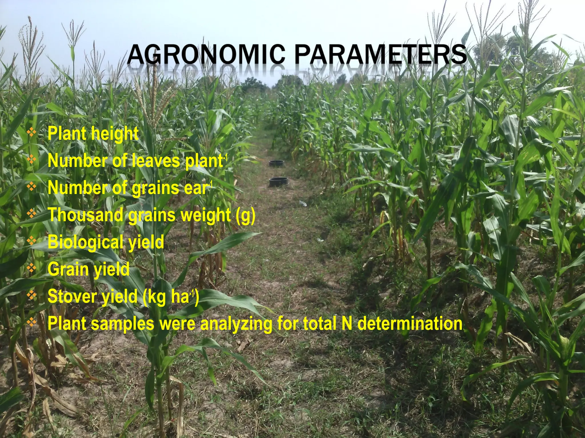  Plant height
 Number of leaves plant-1
 Number of grains ear-1
 Thousand grains weight (g)
 Biological yield
 Grain yield
 Stover yield (kg ha-1
)
 Plant samples were analyzing for total N determination
 
