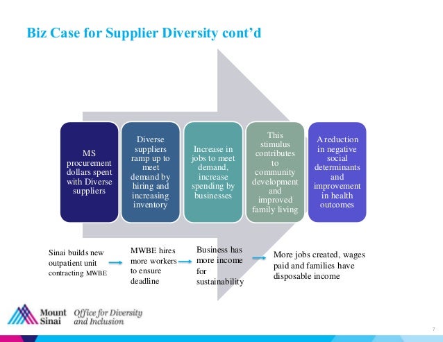 supplier diversity initiative final