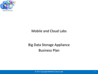 © 2013 Copyright Mobile & Cloud Labs 1
Mobile and Cloud Labs
Big Data Storage Appliance
Business Plan
 