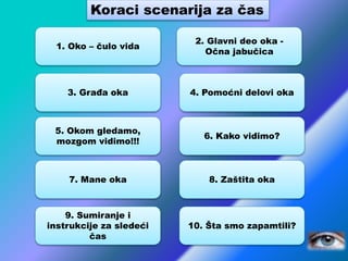 2. Glavni deo oka -
Očna jabučica
4. Pomoćni delovi oka
6. Kako vidimo?
8. Zaštita oka
9. Sumiranje i
instrukcije za sledeći
čas
Koraci scenarija za čas
1. Oko – čulo vida
3. Građa oka
5. Okom gledamo,
mozgom vidimo!!!
10. Šta smo zapamtili?
7. Mane oka
 