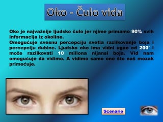 Oko je najvažnije ljudsko čulo jer njime primamo 90% svih
informacija iz okoline.
Omogućuje svesnu percepciju svetla razlikovanje boja i
percepciju dubine. Ljudsko oko ima vidni ugao od 200˚ i
može razlikovati 10 miliona nijansi boja. Vid nam
omogućuje da vidimo. A vidimo samo ono što naš mozak
primećuje.
Scenario
 