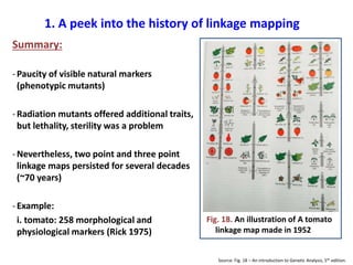 Linkage mapping and QTL analysis_Lecture | PPTX