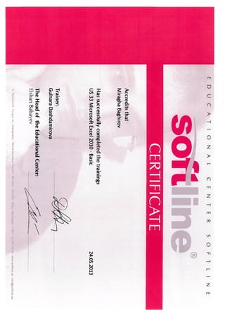 Softline - Excel 2010