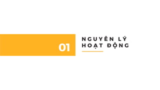 Cách đơn giản nhất để quản lý tài chính doanh nghiệp 01
N G U Y Ê N L Ý
H O Ạ T Đ Ộ N G
01
 