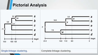 Hierarchical Clustering in Data Mining | PPT