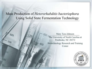 Mass Production of Heterorhabditis bacteriophora
Using Solid State Fermentation Technology
Mary Tess Johnson
The University of North Carolina at
Pembroke, NC 28372
Biotechnology Research and Training
Center
 