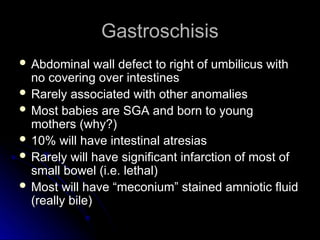 Gastroschisis
Gastroschisis
 Abdominal wall defect to right of umbilicus with
Abdominal wall defect to right of umbilicus with
no covering over intestines
no covering over intestines
 Rarely associated with other anomalies
Rarely associated with other anomalies
 Most babies are SGA and born to young
Most babies are SGA and born to young
mothers (why?)
mothers (why?)
 10% will have intestinal atresias
10% will have intestinal atresias
 Rarely will have significant infarction of most of
Rarely will have significant infarction of most of
small bowel (i.e. lethal)
small bowel (i.e. lethal)
 Most will have “meconium” stained amniotic fluid
Most will have “meconium” stained amniotic fluid
(really bile)
(really bile)
 