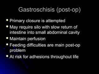 Gastroschisis (post-op)
Gastroschisis (post-op)
 Primary closure is attempted
Primary closure is attempted
 May require silo with slow return of
May require silo with slow return of
intestine into small abdominal cavity
intestine into small abdominal cavity
 Maintain perfusion
Maintain perfusion
 Feeding difficulties are main post-op
Feeding difficulties are main post-op
problem
problem
 At risk for adhesions throughout life
At risk for adhesions throughout life
 