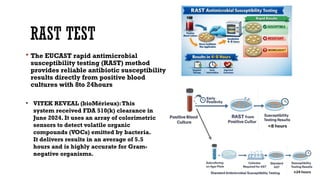 Radt Testing Comprehensive Overview of Antimicrobial Susceptibility Testing Methods ...