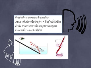 ตัวอย่างที่4การทดลอง: ลาแสงหักเห 
เคยมองเห็นปลาหรือวัตถุต่าง ๆ ที่อยู่ในนา้ใสบ้าง 
หรือไม่ ว่าแต่ว่า ปลาหรือวัตถุเหล่านัน้อยู่ตรง 
ตาแหน่งที่เรามองเห็นหรือไม่ 
 