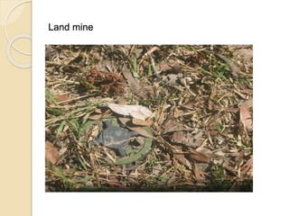 Land mine
 