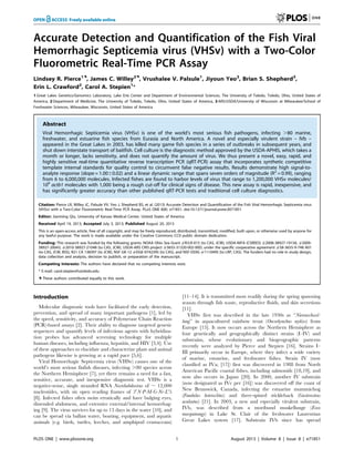 Accurate Detection and Quantification of the Fish Viral
Hemorrhagic Septicemia virus (VHSv) with a Two-Color
Fluorometric Real-Time PCR Assay
Lindsey R. Pierce1.
, James C. Willey2.
, Vrushalee V. Palsule1
, Jiyoun Yeo2
, Brian S. Shepherd3
,
Erin L. Crawford2
, Carol A. Stepien1
*
1 Great Lakes Genetics/Genomics Laboratory, Lake Erie Center and Department of Environmental Sciences, The University of Toledo, Toledo, Ohio, United States of
America, 2 Department of Medicine, The University of Toledo, Toledo, Ohio, United States of America, 3 ARS/USDA/University of Wisconsin at Milwaukee/School of
Freshwater Sciences, Milwaukee, Wisconsin, United States of America
Abstract
Viral Hemorrhagic Septicemia virus (VHSv) is one of the world’s most serious fish pathogens, infecting .80 marine,
freshwater, and estuarine fish species from Eurasia and North America. A novel and especially virulent strain – IVb –
appeared in the Great Lakes in 2003, has killed many game fish species in a series of outbreaks in subsequent years, and
shut down interstate transport of baitfish. Cell culture is the diagnostic method approved by the USDA-APHIS, which takes a
month or longer, lacks sensitivity, and does not quantify the amount of virus. We thus present a novel, easy, rapid, and
highly sensitive real-time quantitative reverse transcription PCR (qRT-PCR) assay that incorporates synthetic competitive
template internal standards for quality control to circumvent false negative results. Results demonstrate high signal-to-
analyte response (slope = 1.0060.02) and a linear dynamic range that spans seven orders of magnitude (R2
= 0.99), ranging
from 6 to 6,000,000 molecules. Infected fishes are found to harbor levels of virus that range to 1,200,000 VHSv molecules/
106
actb1 molecules with 1,000 being a rough cut-off for clinical signs of disease. This new assay is rapid, inexpensive, and
has significantly greater accuracy than other published qRT-PCR tests and traditional cell culture diagnostics.
Citation: Pierce LR, Willey JC, Palsule VV, Yeo J, Shepherd BS, et al. (2013) Accurate Detection and Quantification of the Fish Viral Hemorrhagic Septicemia virus
(VHSv) with a Two-Color Fluorometric Real-Time PCR Assay. PLoS ONE 8(8): e71851. doi:10.1371/journal.pone.0071851
Editor: Jianming Qiu, University of Kansas Medical Center, United States of America
Received April 19, 2013; Accepted July 3, 2013; Published August 20, 2013
This is an open-access article, free of all copyright, and may be freely reproduced, distributed, transmitted, modified, built upon, or otherwise used by anyone for
any lawful purpose. The work is made available under the Creative Commons CC0 public domain dedication.
Funding: This research was funded by the following grants: NOAA Ohio Sea Grant #R/LR-015 (to CAS, JCW), USDA-NIFA (CSREES) #2008-38927-19156, #2009-
38927-20043, #2010-38927-21048 (to CAS, JCW), USDA-ARS CRIS project #3655-31320-002-00D, under the specific cooperative agreement #58-3655-9-748 A01
(to CAS, JCW, BSS), R21 CA 138397 (to JCW), NSF GK-12 #DGE-0742395 (to CAS), and NSF-DDIG #1110495 (to LRP, CAS). The funders had no role in study design,
data collection and analysis, decision to publish, or preparation of the manuscript.
Competing Interests: The authors have declared that no competing interests exist.
* E-mail: carol.stepien@utoledo.edu
. These authors contributed equally to this work.
Introduction
Molecular diagnostic tools have facilitated the early detection,
prevention, and spread of many important pathogens [1], led by
the speed, sensitivity, and accuracy of Polymerase Chain Reaction
(PCR)-based assays [2]. Their ability to diagnose targeted genetic
sequences and quantify levels of infectious agents with hybridiza-
tion probes has advanced screening technology for multiple
human diseases, including influenza, hepatitis, and HIV [3,4]. Use
of these approaches to elucidate and characterize plant and animal
pathogens likewise is growing at a rapid pace [5,6].
Viral Hemorrhagic Septicemia virus (VHSv) causes one of the
world’s most serious finfish diseases, infecting .80 species across
the Northern Hemisphere [7], yet there remains a need for a fast,
sensitive, accurate, and inexpensive diagnostic test. VHSv is a
negative-sense, single stranded RNA Novirhabdovirus of , 12,000
nucleotides, with six open reading frames of 39N-P-M-G-Nv-L’5
[8]. Infected fishes often swim erratically and have bulging eyes,
distended abdomens, and extensive external/internal hemorrhag-
ing [9]. The virus survives for up to 13 days in the water [10], and
can be spread via ballast water, boating, equipment, and aquatic
animals (e.g. birds, turtles, leeches, and amphipod crustaceans)
[11–14]. It is transmitted most readily during the spring spawning
season through fish waste, reproductive fluids, and skin secretions
[11].
VHSv first was described in the late 1930s as ‘‘Nierenschwel-
lung’’ in aquacultured rainbow trout (Oncorhynchus mykiss) from
Europe [15]. It now occurs across the Northern Hemisphere as
four genetically and geographically distinct strains (I–IV) and
substrains, whose evolutionary and biogeographic patterns
recently were analyzed by Pierce and Stepien [16]. Strains I–
III primarily occur in Europe, where they infect a wide variety
of marine, estuarine, and freshwater fishes. Strain IV (now
classified as IVa; [17]) first was discovered in 1988 from North
American Pacific coastal fishes, including salmonids [18,19], and
now also occurs in Japan [20]. In 2000, another IV substrain
(now designated as IVc per [16]) was discovered off the coast of
New Brunswick, Canada, infecting the estuarine mummichog
(Fundulus heteroclitus) and three-spined stickleback (Gasterosteus
aculeatus) [21]. In 2003, a new and especially virulent substrain,
IVb, was described from a moribund muskellunge (Esox
masquinongy) in Lake St. Clair of the freshwater Laurentian
Great Lakes system [17]. Substrain IVb since has spread
PLOS ONE | www.plosone.org 1 August 2013 | Volume 8 | Issue 8 | e71851
 