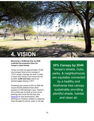 10
20% Canopy by 2040:
Tempe’s streets, hubs,
parks, & neighborhoods
are equitably connected
by a healthy and
biodiverse tree canopy
sustainably providing
plentiful shade, habitat,
and clean air.
Becoming a ’20-Minute City’ by 2040
underlies the proposed vision for
Tempe’s urban forests.
Tempe currently has approximately 19,450
city-managed trees and an average of
13.4% canopy coverage city-wide. In order
to reach 20% canopy cover across the city
by 2040, 2,400 new trees need to be
planted a year starting in 2017.
Increasing tree canopy to 20% by 2040 will
require 55,000 additional trees which
equates to 2,392 plantings a year. However,
this number was rounded up since not all
plantings will survive the first year (see
Appendix for goal assumptions). New
plantings are needed in addition to replacing
trees damaged by storms, pests, or old age.
 