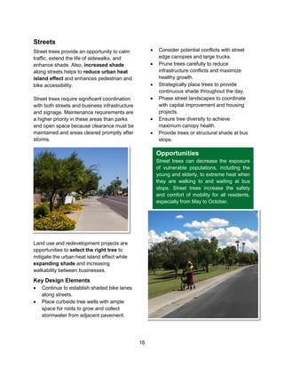 16
Streets
Street trees provide an opportunity to calm
traffic, extend the life of sidewalks, and
enhance shade. Also, increased shade
along streets helps to reduce urban heat
island effect and enhances pedestrian and
bike accessibility.
Street trees require significant coordination
with both streets and business infrastructure
and signage. Maintenance requirements are
a higher priority in these areas than parks
and open space because clearance must be
maintained and areas cleared promptly after
storms.
Land use and redevelopment projects are
opportunities to select the right tree to
mitigate the urban heat island effect while
expanding shade and increasing
walkability between businesses.
Key Design Elements
 Continue to establish shaded bike lanes
along streets.
 Place curbside tree wells with ample
space for roots to grow and collect
stormwater from adjacent pavement.
 Consider potential conflicts with street
edge canopies and large trucks.
 Prune trees carefully to reduce
infrastructure conflicts and maximize
healthy growth.
 Strategically place trees to provide
continuous shade throughout the day.
 Phase street landscapes to coordinate
with capital improvement and housing
projects.
 Ensure tree diversity to achieve
maximum canopy health.
 Provide trees or structural shade at bus
stops.
Opportunities
Street trees can decrease the exposure
of vulnerable populations, including the
young and elderly, to extreme heat when
they are walking to and waiting at bus
stops. Street trees increase the safety
and comfort of mobility for all residents,
especially from May to October.
 