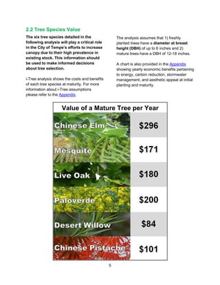 5
2.2 Tree Species Value
The six tree species detailed in the
following analysis will play a critical role
in the City of Tempe’s efforts to increase
canopy due to their high prevalence in
existing stock. This information should
be used to make informed decisions
about tree selection.
i-Tree analysis shows the costs and benefits
of each tree species at maturity. For more
information about i-Tree assumptions
please refer to the Appendix.
The analysis assumes that 1) freshly
planted trees have a diameter at breast
height (DBH) of up to 6 inches and 2)
mature trees have a DBH of 12-18 inches.
A chart is also provided in the Appendix
showing yearly economic benefits pertaining
to energy, carbon reduction, stormwater
management, and aesthetic appeal at initial
planting and maturity.
Value of a Mature Tree per Year
 