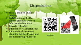 Bat Presentation | PPTX