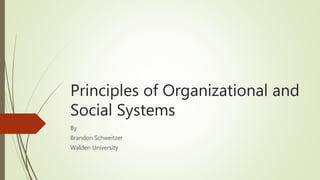 Principles of Organizational and
Social Systems
By
Brandon Schweitzer
Walden University
 