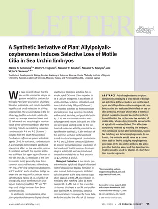 A Synthetic Derivative of Plant Allylpolyalk-
oxybenzenes Induces Selective Loss of Motile
Cilia in Sea Urchin Embryos
Marina N. Semenova†,
*, Dmitry V. Tsyganov‡
, Alexandr P. Yakubov‡
, Alexandr S. Kiselyov‡
, and
Victor V. Semenov‡,§,
*
†
Institute of Developmental Biology, Russian Academy of Sciences, Moscow, Russia, ‡
Zelinsky Institute of Organic
Chemistry, Russian Academy of Sciences, Moscow, Russia, and §
Chemical Block Ltd., Limassol, Cyprus
W
e have recently shown that the
sea urchin embryo is a simple or-
ganism model that provides for
the rapid “one-pot” assessment of antipro-
liferative, antimitotic, and tubulin destabiliz-
ing effects of small molecules on a living
organism (1). The assay includes (i) the fer-
tilized egg test for antimitotic activity dis-
played by cleavage alteration/arrest, and
(ii) behavioral and morphological monitor-
ing of a free-swimming embryos after their
hatching. Tubulin destabilizing molecules
combretastatin A-4 and A-2 (Scheme 1)
isolated from the South African willow
Combretum caffrum are potent antimitotic
agents (2–4). In our hands, combretastatin
A-4 phosphate demonstrated a profound
phenotypic effect on the sea urchin embryo.
It correlated well with the reported antitu-
mor activity of this agent against human tu-
mor cell lines (1, 5). Molecules of the com-
bretastatin family generally share three
common structural features: a trimethoxy
“A” ring, a “B” ring containing substitutents
at C3= and C4=, and a cis-ethene bridge be-
tween the two rings which provides neces-
sary structural rigidity (3, 4). A number of
biologically active combretastatin ana-
logues featuring modiﬁed “A” and “B”
rings and bridge isosteres have been
synthesized (6).
In addition to combretastatins, other
plant polyalkoxybenzenes display a broad
spectrum of biological activities. For ex-
ample, apiol (Scheme 1) was reported to
be a calcium antagonist. It also shows di-
uretic, abortive, sedative, antioxidant, and
insecticidal activity. Dillapiol (Scheme 1)
has reported activities as chemosensitizer
and anticancer drug synergyst. It exhibits
antibacterial, sedative, and pesticidal activ-
ity (7, 8). We reasoned that due to their
polyoxygenated nature, both apiol and dilla-
piol were good starting points for the syn-
thesis of molecules with the potential for an-
tiproliferative activity (3, 4). On the basis of
this premise, we have synthesized and
tested structural analogues of combretasta-
tin A-2 and Z,E-diene compound (Scheme
1). In order to maintain proper orientation of
the biaryl motif that is important for physi-
ological activity (6), we have introduced
isoxazoline moiety into our ﬁnal products
(1, 2, Schemes 1 and 2).
Biological Evaluation. In our hands, par-
ent molecules apiol and dillapiol inﬂuenced
neither cleavage nor blastula formation in
vivo. Instead, both compounds inhibited
spiculae growth at the early pluteus stage,
when applied at 100 ␮M concentration im-
mediately after hatching (Table 1). trans-
Isoapiol (2–8 ␮M), but not the respective
cis-isomer, displayed a speciﬁc antiprolifer-
ative activity (M. N. Semenova, personal
communication). Encouraged by these data,
we further studied the effect of 15 isoxazo-
*Corresponding authors,
ms@chemical-block.com and
vs@chemical-block.com.
Received for review August 3, 2007
and accepted November 28, 2007.
Published online February 15, 2008
10.1021/cb700163q CCC: $40.75
© 2008 American Chemical Society
ABSTRACT Polyalkoxybenzenes are plant
components displaying a wide range of biologi-
cal activities. In these studies, we synthesized
apiol and dillapiol isoxazoline analogues of com-
bretastatins and evaluated their effect on sea ur-
chin embryos. We have shown that p-methoxy-
phenyl isoxazoline caused sea urchin embryo
immobilization due to the selective excision of
motile cilia, whereas long immotile sensory cilia
of apical tuft remained intact. This effect was
completely reversed by washing the embryos.
The compound did not alter cell division, blastu-
lae hatching, and larval morphogenesis. In our
hands, the molecule would serve as a conve-
nient tool for in vivo studying morphogenetic
processes in the sea urchin embryo. We antici-
pate that both the assay and the described de-
rivative could be used for studies in ciliary func-
tion in embryogenesis.
LETTER
www.acschemicalbiology.org VOL.3 NO.2 • ACS CHEMICAL BIOLOGY 95
 