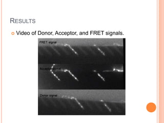 Feret Microscope FRET Microscopy Presentation | PPTX