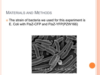 FRET Microscopy Presentation | PPTX