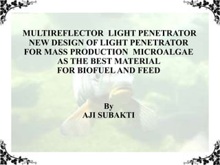 MULTIREFLECTOR LIGHT PENETRATOR
NEW DESIGN OF LIGHT PENETRATOR
FOR MASS PRODUCTION MICROALGAE
AS THE BEST MATERIAL
FOR BIOFUELAND FEED
By
AJI SUBAKTI
 