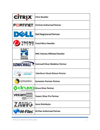Pinnacle Computer Systems | PDF