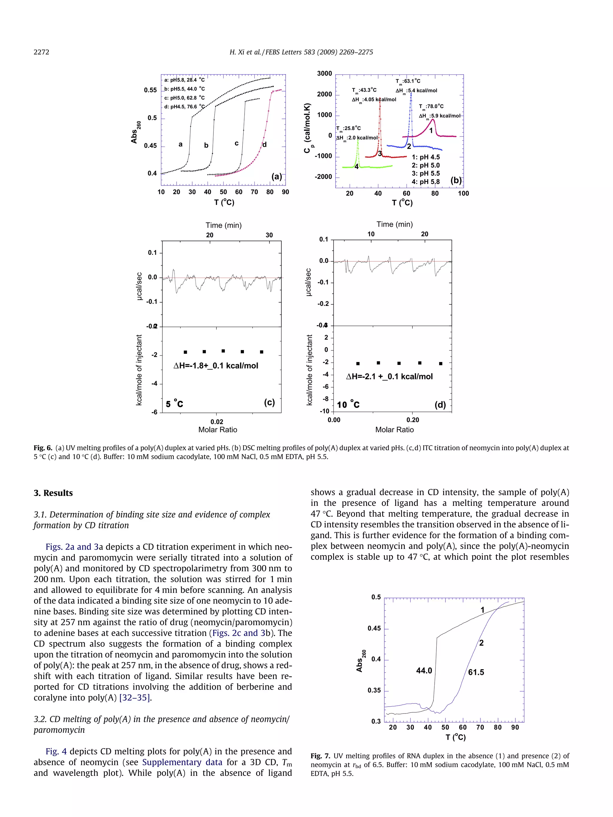 3. Results
3.1. Determination of binding site size and evidence of complex
formation by CD titration
Figs. 2a and 3a depicts a CD titration experiment in which neo-
mycin and paromomycin were serially titrated into a solution of
poly(A) and monitored by CD spectropolarimetry from 300 nm to
200 nm. Upon each titration, the solution was stirred for 1 min
and allowed to equilibrate for 4 min before scanning. An analysis
of the data indicated a binding site size of one neomycin to 10 ade-
nine bases. Binding site size was determined by plotting CD inten-
sity at 257 nm against the ratio of drug (neomycin/paromomycin)
to adenine bases at each successive titration (Figs. 2c and 3b). The
CD spectrum also suggests the formation of a binding complex
upon the titration of neomycin and paromomycin into the solution
of poly(A): the peak at 257 nm, in the absence of drug, shows a red-
shift with each titration of ligand. Similar results have been re-
ported for CD titrations involving the addition of berberine and
coralyne into poly(A) [32–35].
3.2. CD melting of poly(A) in the presence and absence of neomycin/
paromomycin
Fig. 4 depicts CD melting plots for poly(A) in the presence and
absence of neomycin (see Supplementary data for a 3D CD, Tm
and wavelength plot). While poly(A) in the absence of ligand
shows a gradual decrease in CD intensity, the sample of poly(A)
in the presence of ligand has a melting temperature around
47 °C. Beyond that melting temperature, the gradual decrease in
CD intensity resembles the transition observed in the absence of li-
gand. This is further evidence for the formation of a binding com-
plex between neomycin and poly(A), since the poly(A)-neomycin
complex is stable up to 47 °C, at which point the plot resembles
0.4
0.45
0.5
0.55
10 20 30 40 50 60 70 80 90
Abs
260
T (
o
C)
a b c d
a: pH5.8, 28.4
o
C
b: pH5.5, 44.0
o
C
c: pH5.0, 62.8
o
C
d: pH4.5, 76.6
o
C
(a) -2000
-1000
0
1000
2000
3000
20 40 60 80 100
C
p
(cal/mol.K)
T (
o
C)
T
m
:78.0
o
C
ΔH
m
:5.9 kcal/mol
T
m
:63.1
o
C
ΔH
m
:5.4 kcal/molT
m
:43.3
o
C
ΔH
m
:4.05 kcal/mol
T
m
:25.8
o
C
ΔH
m
:2.0 kcal/mol
(b)
1: pH 4.5
2: pH 5.0
3: pH 5.5
4: pH 5.8
4
3
2
1
-0.2
-0.1
0.0
0.1
3020
5
o
C
Time (min)
µcal/sec
0.02
-6
-4
-2
0
(c)
ΔH=-1.8+ 0.1 kcal/mol
Molar Ratio
kcal/moleofinjectant
-0.3
-0.2
-0.1
0.0
0.1
10 20
10
o
C
Time (min)
µcal/sec
0.200.00
-10
-8
-6
-4
-2
0
2
4
(d)
ΔH=-2.1 + 0.1 kcal/mol
Molar Ratio
kcal/moleofinjectant
Fig. 6. (a) UV melting proﬁles of a poly(A) duplex at varied pHs. (b) DSC melting proﬁles of poly(A) duplex at varied pHs. (c,d) ITC titration of neomycin into poly(A) duplex at
5 °C (c) and 10 °C (d). Buffer: 10 mM sodium cacodylate, 100 mM NaCl, 0.5 mM EDTA, pH 5.5.
0.3
0.35
0.4
0.45
0.5
20 30 40 50 60 70 80 90
Abs
260
T (
o
C)
44.0 61.5
1
2
Fig. 7. UV melting proﬁles of RNA duplex in the absence (1) and presence (2) of
neomycin at rbd of 6.5. Buffer: 10 mM sodium cacodylate, 100 mM NaCl, 0.5 mM
EDTA, pH 5.5.
2272 H. Xi et al. / FEBS Letters 583 (2009) 2269–2275
 