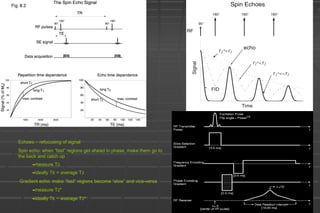 Echoes – refocusing of signal
Spin echo: when “fast” regions get ahead in phase, make them go to
the back and catch up
-measure T2
-ideally TE = average T2
Gradient echo: make “fast” regions become “slow” and vice-versa
-measure T2*
-ideally TE ~ average T2*
 