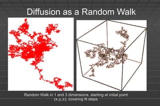 Diffusion as a Random Walk
Random Walk in 1 and 3 dimensions, starting at initial pointRandom Walk in 1 and 3 dimensions, starting at initial point
(x(xii,y,yii,z,zii), covering N steps), covering N steps
 