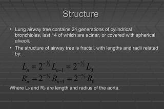 StructureStructure
• Lung airway tree contains 24 generations of cylindricalLung airway tree contains 24 generations of cylindrical
bronchioles, last 14 of which are acinar, or covered with sphericalbronchioles, last 14 of which are acinar, or covered with spherical
alveoli.alveoli.
• The structure of airway tree is fractal, with lengths and radii relatedThe structure of airway tree is fractal, with lengths and radii related
by:by:
Where LWhere L00 and Rand R00 are length and radius of the aorta.are length and radius of the aorta.
1
3 3
1 02 2
n
n nL L L− −
−= =
1
3 3
1 02 2
n
n nR R R− −
−= =
 