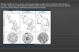 Diffusion coefficient can be used to measure the degree of destruction or restriction of the alveoli in
the acini. Higher than normal diffusion coefficient shows increase and destruction of alveoli, whereas
lower than normal diffusion coefficient shows restriction of alveoli.
 