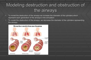 Modeling destruction and obstruction ofModeling destruction and obstruction of
the airwaysthe airways
• To model the destruction of the airways we increase the diameter of the cylinders whichTo model the destruction of the airways we increase the diameter of the cylinders which
represent each generation of the airways in the simulationrepresent each generation of the airways in the simulation
• To model the obstruction of the airways, we decrease the diameter of the cylinders representingTo model the obstruction of the airways, we decrease the diameter of the cylinders representing
the airwaysthe airways
 