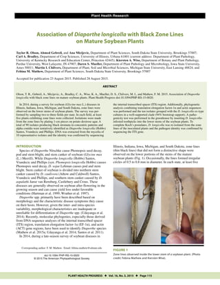 PLANT HEALTH PROGRESS  Vol. 16, No. 3, 2015  Page 115
Plant Health Research
Association of Diaporthe longicolla with Black Zone Lines
on Mature Soybean Plants
Taylor R. Olson, Ahmed Gebreil, and Ana Micijevic, Department of Plant Sciences, South Dakota State University, Brookings 57007;
Carl A. Bradley, Department of Crop Sciences, University of Illinois, Urbana 61801 (current address: Department of Plant Pathology,
University of Kentucky Research and Education Center, Princeton 42445); Kiersten A. Wise, Department of Botany and Plant Pathology,
Purdue University, West Lafayette, IN 47907; Daren S. Mueller, Department of Plant Pathology and Microbiology, Iowa State University,
Ames 50011; Martin I. Chilvers, Department of Plant, Soil and Microbial Sciences, Michigan State University, East Lansing 48824; and
Febina M. Mathew, Department of Plant Sciences, South Dakota State University, Brookings 57007
Accepted for publication 23 August 2015. Published 28 August 2015.
ABSTRACT
Olson, T. R., Gebreil, A., Micijevic, A., Bradley, C. A., Wise, K. A., Mueller, D. S., Chilvers, M. I., and Mathew, F. M. 2015. Association of Diaporthe
longicolla with black zone lines on mature soybean plants. Plant Health Progress doi:10.1094/PHP-RS-15-0020.
In 2014, during a survey for soybean (Glycine max L.) diseases in
Illinois, Indiana, Iowa, Michigan, and South Dakota, zone lines were
observed on the lower stems of soybean plants. The survey was per-
formed by sampling two to three fields per state. In each field, at least
five plants exhibiting zone lines were collected. Isolations were made
from the zone lines by plating 1-cm pieces on potato dextrose agar. A
total of 90 isolates producing black stromata in concentric patterns and
alpha conidia were tentatively identified as Diaporthe longicolla (Hobbs)
Santos, Vrandecic and Phillips. DNA was extracted from the mycelia of
10 representative isolates and the identity was confirmed by sequencing
the internal transcribed spacer (ITS) region. Additionally, phylogenetic
analysis combining translation elongation factor-1α and actin sequences
was performed and the ten isolates grouped with the D. longicolla ex-type
cultures in a well-supported clade (94% bootstrap support). A patho-
genicity test was performed in the greenhouse by inserting D. longicolla-
infested toothpicks into the lower stems of the soybean plants. To
complete Koch’s postulates, D. longicolla was re-isolated from the zone
lines of the inoculated plants and the pathogen identity was confirmed by
sequencing the ITS gene.
INTRODUCTION
Species of Diaporthe Nitschke cause Phomopsis seed decay,
pod and stem blight, and stem canker of soybean (Glycine max
(L.) Merrill). While Diaporthe longicolla (Hobbs) Santos,
Vrandecic and Phillips (syn. Phomopsis longicolla Hobbs) causes
Phomopsis seed decay, D. sojae Lehman causes pod and stem
blight. Stem canker of soybean is divided into northern stem
canker caused by D. caulivora (Athow and Caldwell) Santos,
Vrandecic and Phillips, and southern stem canker caused by D.
aspalathi Janse van Rensburg, Castlebury and Crous. These
diseases are generally observed on soybean after flowering in the
growing season and can cause yield loss under favorable
conditions (Hartman et al. 1999; Wrather et al. 1997).
Diaporthe spp. primarily have been described based on
morphology and the characteristic disease symptoms they cause
on their hosts. However, given the inter- and intra-species
variability, morphological characteristics are inadequate or
unreliable for differentiation of Diaporthe spp. (Udayanga et al.
2014). Recently, molecular phylogenies, especially those derived
from DNA sequence analyses of the internal transcribed spacer
(ITS) region, translation elongation factor-1α (EF-1α), and actin
(ACT) gene regions, have been used to identify Diaporthe species
(Mathew et al. 2015a; Udayanga et al. 2014; Santos et al. 2011).
In 2014, during a late-season survey of soybean diseases in
Illinois, Indiana, Iowa, Michigan, and South Dakota, zone lines
(thin black lines) that did not form a distinctive shape were
observed on the lower portions of the stems of the mature
soybean plants (Fig. 1). Occasionally, the lines formed irregular
circles of 0.5 to 0.8 mm in diameter. In each state, at least five
FIGURE 1
Zone lines observed inside the lower stem of a soybean plant. (Photo
credit: Febina Mathew and Kiersten Wise).
Corresponding author: F. M. Mathew. Email: febina.mathew@sdstate.edu
doi:10.1094/PHP-RS-15-0020
© 2015 The American Phytopathological Society
 