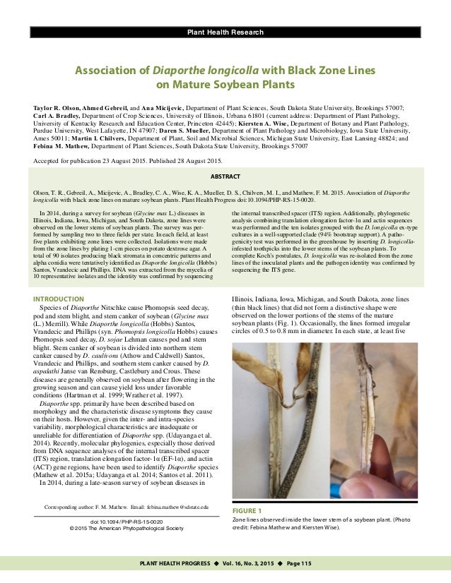 Soybean research paper
