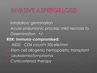  Inhalation; germination
 Acute pneumonic process: mild necrosis to
 Dissemination +/-
RISK: Immuno-compromised:
 AIDS; CD4 count< 50cells/mm
 Stem cell allogenic hemopoietic transplant
 Leukaemia/lymphoma
 Corticosteroid therapy
 