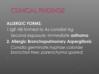 ALLERGIC FORMS:
1.IgE AB formed to As conidial Ag
 Second exposure: immediate asthama
2. Allergic Bronchopulmonary Aspergillosis
 Conidia germinate,hyphae colonize
bronchial tree; parenchyma spared;

 