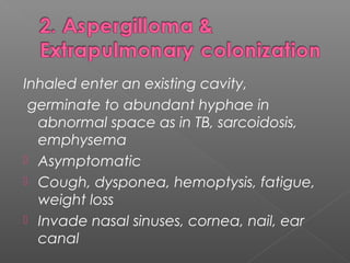 Inhaled enter an existing cavity,
germinate to abundant hyphae in
abnormal space as in TB, sarcoidosis,
emphysema
 Asymptomatic
 Cough, dysponea, hemoptysis, fatigue,
weight loss
 Invade nasal sinuses, cornea, nail, ear
canal
 