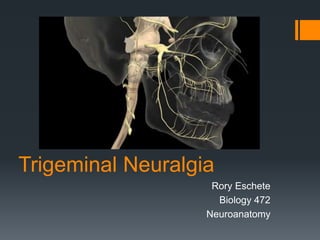 Trigeminal Neuralgia
Rory Eschete
Biology 472
Neuroanatomy
 