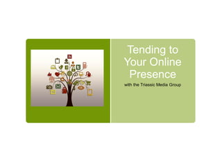 Tending to
Your Online
Presence
with the Triassic Media Group
 