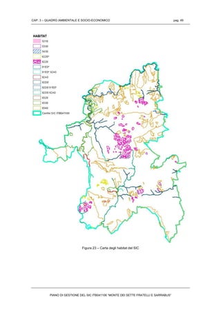 CAP. 3 – QUADRO AMBIENTALE E SOCIO-ECONOMICO pag. 49
PIANO DI GESTIONE DEL SIC ITB041106 “MONTE DEI SETTE FRATELLI E SARRABUS”
Figura 23 – Carta degli habitat del SIC
 