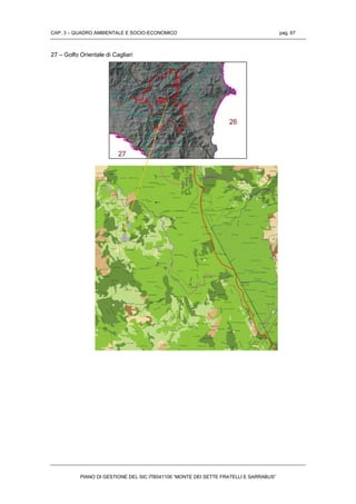 CAP. 3 – QUADRO AMBIENTALE E SOCIO-ECONOMICO pag. 67
PIANO DI GESTIONE DEL SIC ITB041106 “MONTE DEI SETTE FRATELLI E SARRABUS”
27 – Golfo Orientale di Cagliari
SIC
 