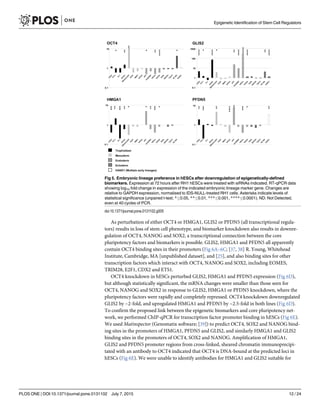As perturbation of either OCT4 or HMGA1, GLIS2 or PFDN5 (all transcriptional regula-
tors) results in loss of stem cell phenotype, and biomarker knockdown also results in downre-
gulation of OCT4, NANOG and SOX2, a transcriptional connection between the core
pluripotency factors and biomarkers is possible. GLIS2, HMGA1 and PFDN5 all apparently
contain OCT4 binding sites in their promoters (Fig 6A–6C; [37, 38] R. Young, Whitehead
Institute, Cambridge, MA [unpublished dataset], and [25], and also binding sites for other
transcription factors which interact with OCT4, NANOG and SOX2, including EOMES,
TRIM28, E2F1, CDX2 and ETS1.
OCT4 knockdown in hESCs perturbed GLIS2, HMGA1 and PFDN5 expression (Fig 6D),
but although statistically significant, the mRNA changes were smaller than those seen for
OCT4, NANOG and SOX2 in response to GLIS2, HMGA1 or PFDN5 knockdown, where the
pluripotency factors were rapidly and completely repressed. OCT4 knockdown downregulated
GLIS2 by ~2-fold, and upregulated HMGA1 and PFDN5 by ~2.5-fold in both lines (Fig 6D).
To confirm the proposed link between the epigenetic biomarkers and core pluripotency net-
work, we performed ChIP-qPCR for transcription factor promoter binding in hESCs (Fig 6E).
We used Matinspector (Genomatix software; [39]) to predict OCT4, SOX2 and NANOG bind-
ing sites in the promoters of HMGA1, PFDN5 and GLIS2, and similarly HMGA1 and GLIS2
binding sites in the promoters of OCT4, SOX2 and NANOG. Amplification of HMGA1,
GLIS2 and PFDN5 promoter regions from cross-linked, sheared chromatin immunoprecipi-
tated with an antibody to OCT4 indicated that OCT4 is DNA-bound at the predicted loci in
hESCs (Fig 6E). We were unable to identify antibodies for HMGA1 and GLIS2 suitable for
Fig 5. Embryonic lineage preference in hESCs after downregulation of epigenetically-defined
biomarkers. Expression at 72 hours after RH1 hESCs were treated with siRNAs indicated. RT-qPCR data
showing log10 fold change in expression of the indicated embryonic lineage marker gene. Changes are
relative to GAPDH expression, normalised to IDS-NULL-treated RH1 cells. Asterisks indicate levels of
statistical significance (unpaired t-test; * 0.05, ** 0.01, *** 0.001, **** 0.0001). ND: Not Detected,
even at 40 cycles of PCR.
doi:10.1371/journal.pone.0131102.g005
Epigenetic Identification of Stem Cell Regulators
PLOS ONE | DOI:10.1371/journal.pone.0131102 July 7, 2015 12 / 24
 