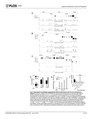 Fig 6. Association of candidate epigenetically-defined biomarkers with the core pluripotency
network. GLIS2 (A), HMGA1 (B) and PFDN5 (C) all have OCT4 binding sites in their promoter regions.
Panels created by Geneprof (geneprof.org) using OCT4 ChIP-seq data from Young and colleagues
(unpublished), Kunarso et al. (2010) and Mullen et al. (2011) (GLIS2), Young and colleagues (unpublished)
and Mullen et al. (2011) (HMGA1) and Lister et al. (2009) and Mullen et al. (2011) (PFDN5); Y-axis indicates
read number from the dataset indicated. (D) OCT4 knockdown in hESCs as described perturbs HMGA1,
GLIS2 and PFDN5 transcript levels. Asterisks indicate levels of statistical significance (unpaired t-test;
* 0.05, ** 0.01, *** 0.001, **** 0.0001). (E) Chromatin immunoprecipitation (ChIP)-qPCR suggests
that HMGA1, GLIS2 and PFDN5 expression is regulated by OCT4. Immunoprecipitation of hESC chromatin
with an antibody to OCT4, followed by quantitative amplification of gene-specific promoter regions above
Epigenetic Identification of Stem Cell Regulators
PLOS ONE | DOI:10.1371/journal.pone.0131102 July 7, 2015 13 / 24
 