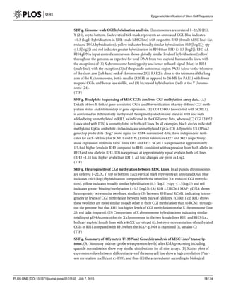 S2 Fig. Genome-wide CGI hybridisation analysis. Chromosomes are ordered 1–22, X (23),
Y (24), top to bottom. Each vertical tick mark represents an annotated CGI. Blue indicates
<0.5 (log2) hybridisation in RH4 (male hESC line) with respect to RH3 (female hESC line) (i.e.
reduced DNA hybridisation), yellow indicates broadly similar hybridisation (0.5 [log2] ! qty
1.5[log2]) and red indicates greater hybridisation in RH4 than RH3 (>1.5 [log2]). RH3 c.f.
RH4 gDNA input control comparison shows globally similar levels of hybridisation (yellow)
throughout the genome, as expected for total DNA from two euploid human cells lines, with
the exceptions of (1) X chromosome hemizygosity and hence reduced signal (blue) in RH4
(male line), with the exception (2) of the pseudo-autosomal region PAR1 (close to the telomere
of the short arm [left hand end of chromosome 23]). PAR2 is close to the telomere of the long
arm of the X chromosome, but is smaller (320 kb as opposed to 2.6 Mb for PAR1) with fewer
mapped CGIs, and hence less visible, and (3) Increased hybridisation (red) in the Y chromo-
some (24).
(TIF)
S3 Fig. Bisulphite Sequencing of hESC CGIs confirms CGI methylation array data. (A)
Details of two X-linked gene-associated CGIs used for verification of array-defined CGI meth-
ylation status and relationship of gene expression. (B) CGI I24453 (associated with SCML1)
is confirmed as differentially methylated, being methylated on one allele in RH1 and both
alleles being unmethylated in RH3, as indicated in the CGI array data, whereas (C) CGI I24952
(associated with IDS) is unmethylated in both cell lines. In all examples, black circles indicated
methylated CpGs, and white circles indicate unmethylated CpGs. (D) Affymetrix U133Plus2
genechip probe data (Log2 probe signal for RMA-normalised data; three independent repli-
cates for each cell line) for SCML1 and IDS. (Entrez references 6322 and 3423 respectively)
show expression in female hESC lines RH1 and RH3. SCML1 is expressed at approximately
1.5-fold higher levels in RH3 compared to RH1, consistent with expression from both alleles in
RH3 and one allele in RH1. IDS is expressed at approximately equal levels in both cell lines
(RH3 ~1.18 fold higher levels than RH1). All fold changes are given as Log2.
(TIF)
S4 Fig. Heterogeneity of CGI methylation between hESC Lines. In all panels, chromosomes
are ordered 1–22, X, Y, top to bottom. Each vertical mark represents an annotated CGI. Blue
indicates <0.5 (log2) hybridisation compared with the other line (i.e. reduced CGI methyla-
tion), yellow indicates broadly similar hybridisation (0.5 [log2] ! qty 1.5[log2]) and red
indicates greater binding/methylation (>1.5 [log2]). (A) RH1 c.f. RCM1 MAP- gDNA shows
heterogeneity between the two lines, similarly (B) between RH3 and RCM1, indicating hetero-
geneity in levels of CGI methylation between both pairs of cell lines. (C) RH1 c.f. RH3 shows
these two lines are more similar to each other in their CGI methylation than to RCM1 through-
out the genome, but that RH1 has higher levels of CGI methylation on the X chromosome (line
23, red ticks frequent). (D) Comparison of X chromosome hybridisations indicating similar
total input gDNA content for the X chromosome in the two female lines RH1 and RH3 (i.e.,
both are euploid female lines with a 46XX karyotype) (i), but over-representation of methylated
CGIs in RH1 compared with RH3 when the MAP-gDNA is examined (ii, see also C)
(TIF)
S5 Fig. Summary of Affymetrix U133Plus2 Genechip analysis of hESC Lines’ transcrip-
tome. (A) Summary indexes (probe set expression levels) after RMA processing including
quantile normalisation show very similar distributions for all nine arrays. (B) Scatter plots of
expression values between different arrays of the same cell line show a high correlation (Pear-
son correlation coefficient r>0.99), and thus (C) the arrays cluster according to biological
Epigenetic Identification of Stem Cell Regulators
PLOS ONE | DOI:10.1371/journal.pone.0131102 July 7, 2015 18 / 24
 