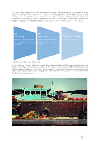 Advisory Report_Sustainable Coastal Protection in Vietnam.compressed | PDF
