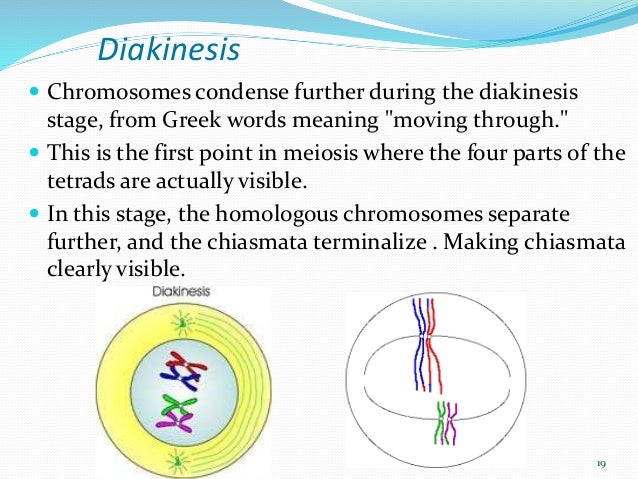 Greek threads · The remaining of the section is devoted to prove, as in Theorem , that FSA' has the claimed competitive ratio. The remaining of the paper is organized as follows: first our method for CAD is presented followed by results on 50 colonoscopic datasets.