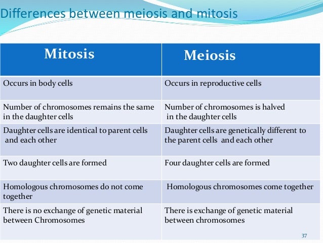 Meiosis