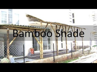 Bamboo Shade
 