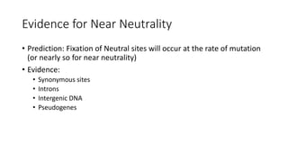 Evidence for Near Neutrality
• Prediction: Fixation of Neutral sites will occur at the rate of mutation
(or nearly so for near neutrality)
• Evidence:
• Synonymous sites
• Introns
• Intergenic DNA
• Pseudogenes
 