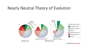 Nearly Neutral Theory of Evolution
 